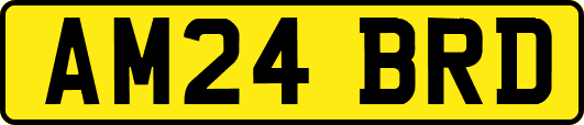 AM24BRD