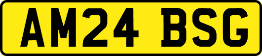AM24BSG