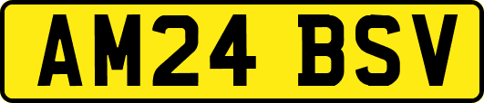 AM24BSV