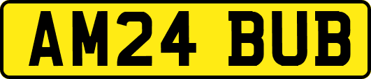 AM24BUB