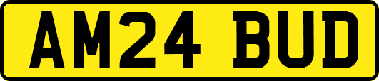 AM24BUD