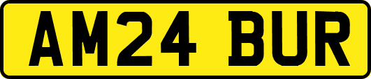 AM24BUR