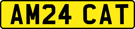 AM24CAT