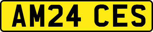AM24CES
