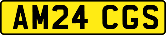 AM24CGS