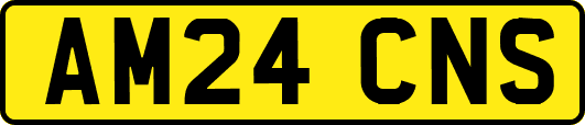 AM24CNS