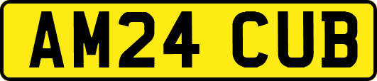 AM24CUB