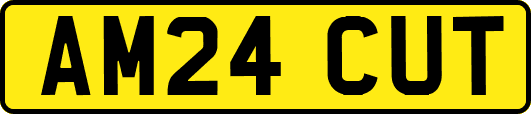AM24CUT