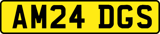 AM24DGS