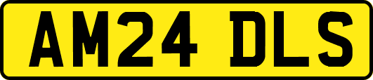 AM24DLS