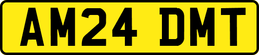 AM24DMT