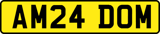AM24DOM