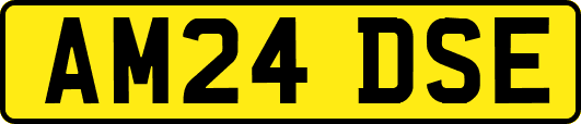 AM24DSE