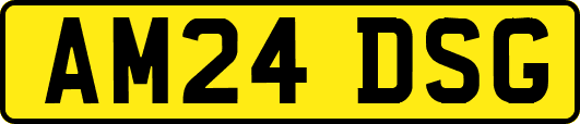 AM24DSG