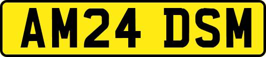 AM24DSM