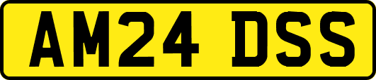 AM24DSS