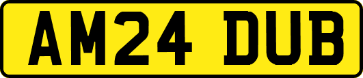 AM24DUB
