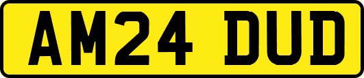 AM24DUD