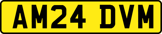 AM24DVM