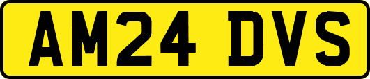 AM24DVS