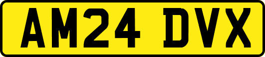 AM24DVX