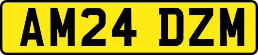 AM24DZM