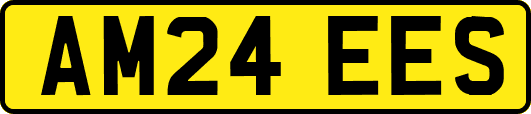 AM24EES