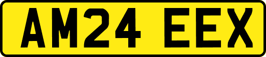 AM24EEX