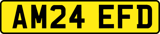 AM24EFD