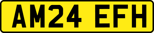 AM24EFH