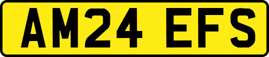AM24EFS