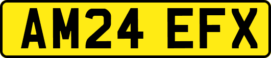 AM24EFX