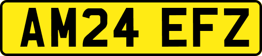 AM24EFZ
