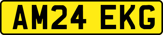 AM24EKG
