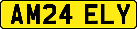 AM24ELY