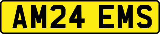 AM24EMS