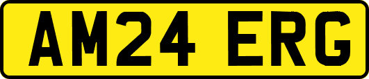 AM24ERG