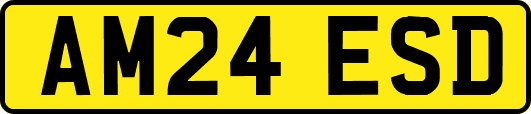 AM24ESD