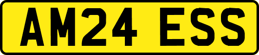AM24ESS