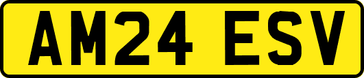AM24ESV