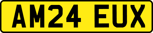 AM24EUX