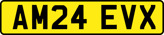 AM24EVX