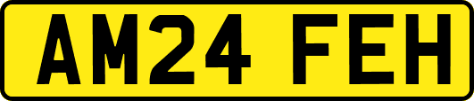 AM24FEH