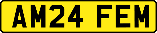 AM24FEM