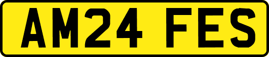 AM24FES