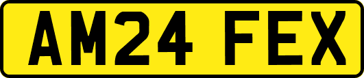 AM24FEX