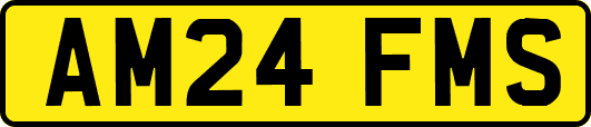AM24FMS