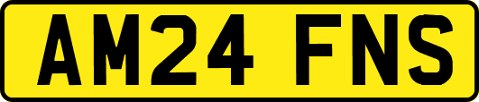 AM24FNS
