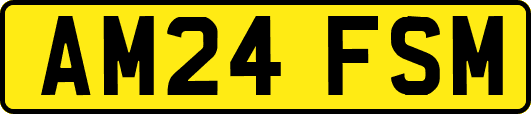 AM24FSM