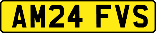 AM24FVS